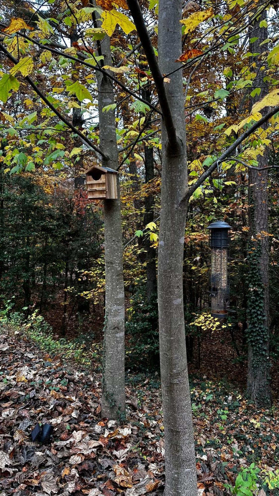 Appalachian Mountain Cabin-Updated-Private-Rafting On Ocoee River-Hiking-Waterfalls-Wifi-Pets Ok ميرفي المظهر الخارجي الصورة