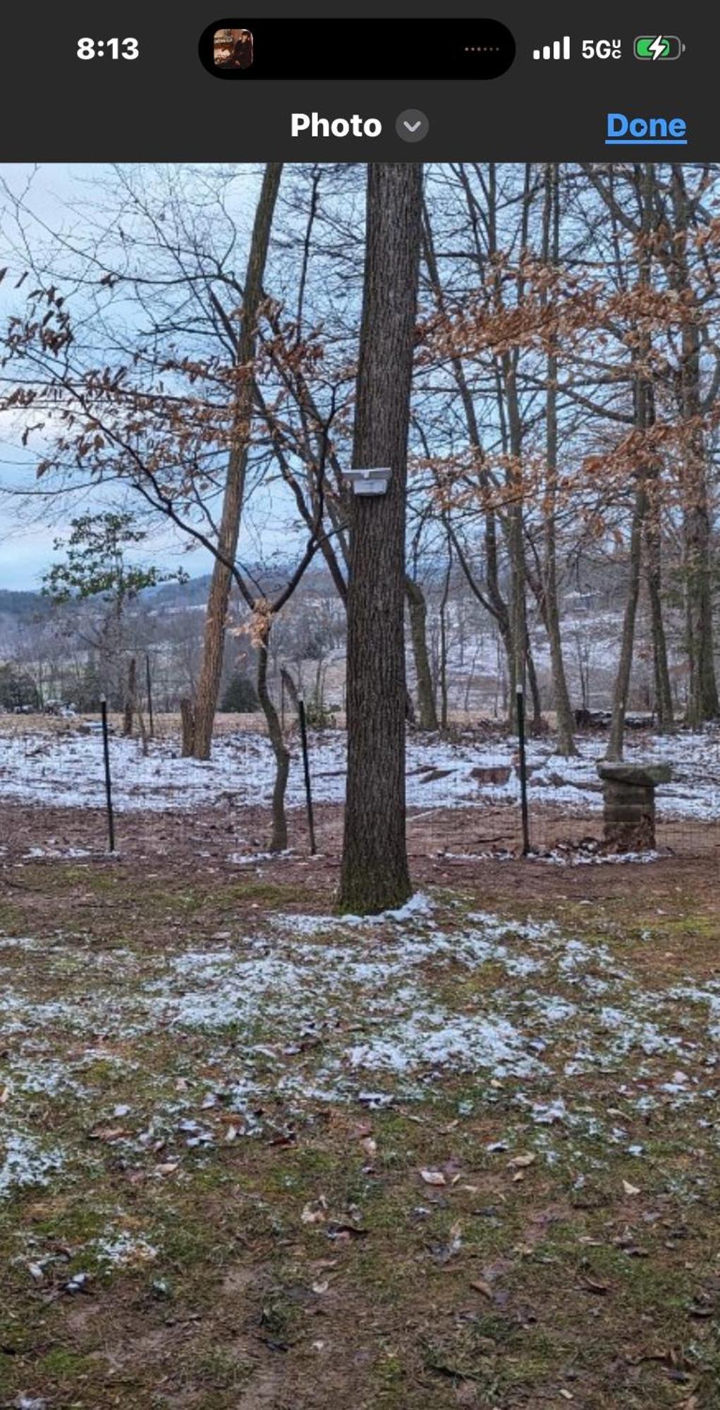 Appalachian Mountain Cabin-Updated-Private-Rafting On Ocoee River-Hiking-Waterfalls-Wifi-Pets Ok ميرفي المظهر الخارجي الصورة