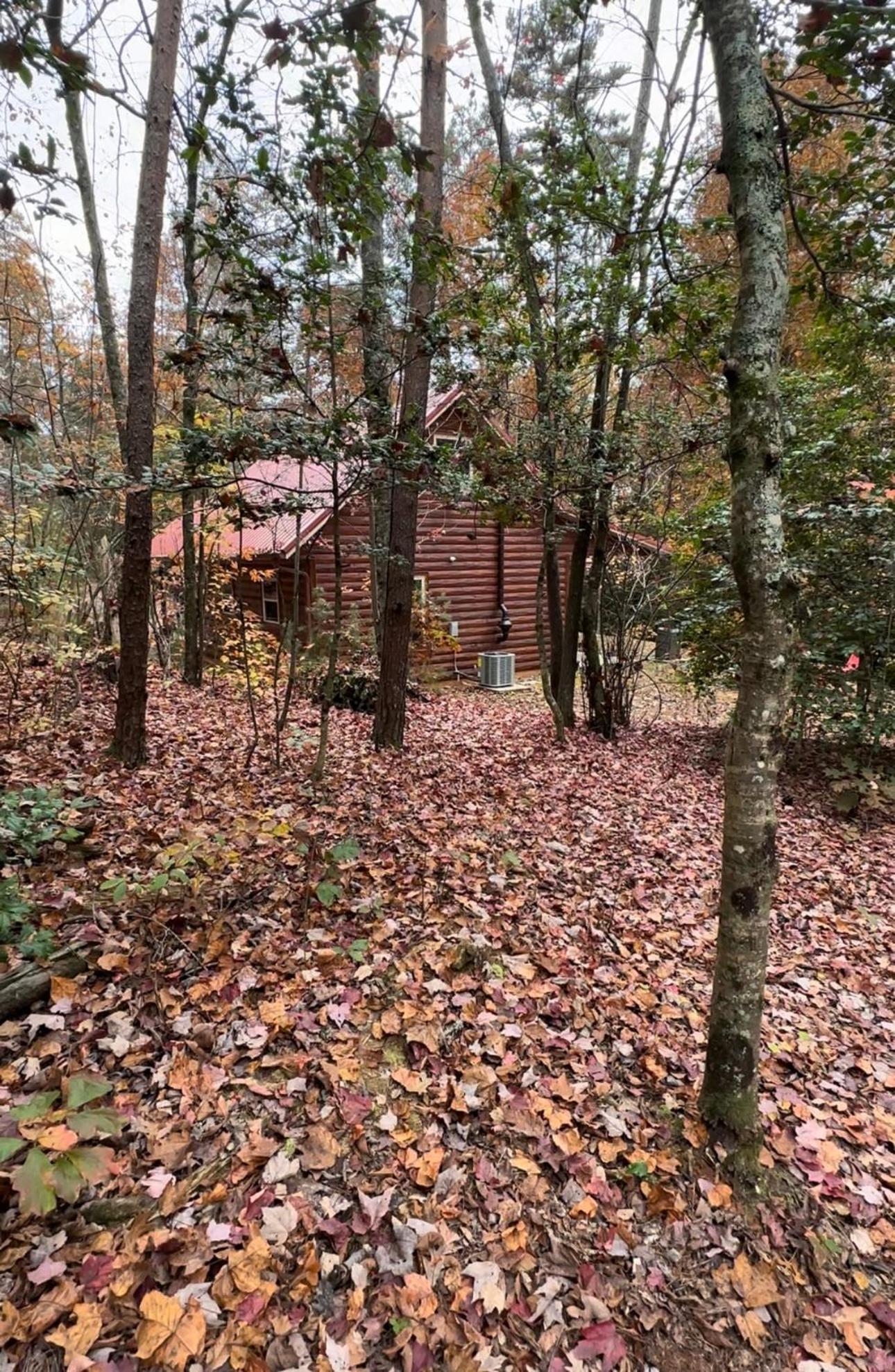 Appalachian Mountain Cabin-Updated-Private-Rafting On Ocoee River-Hiking-Waterfalls-Wifi-Pets Ok ميرفي المظهر الخارجي الصورة