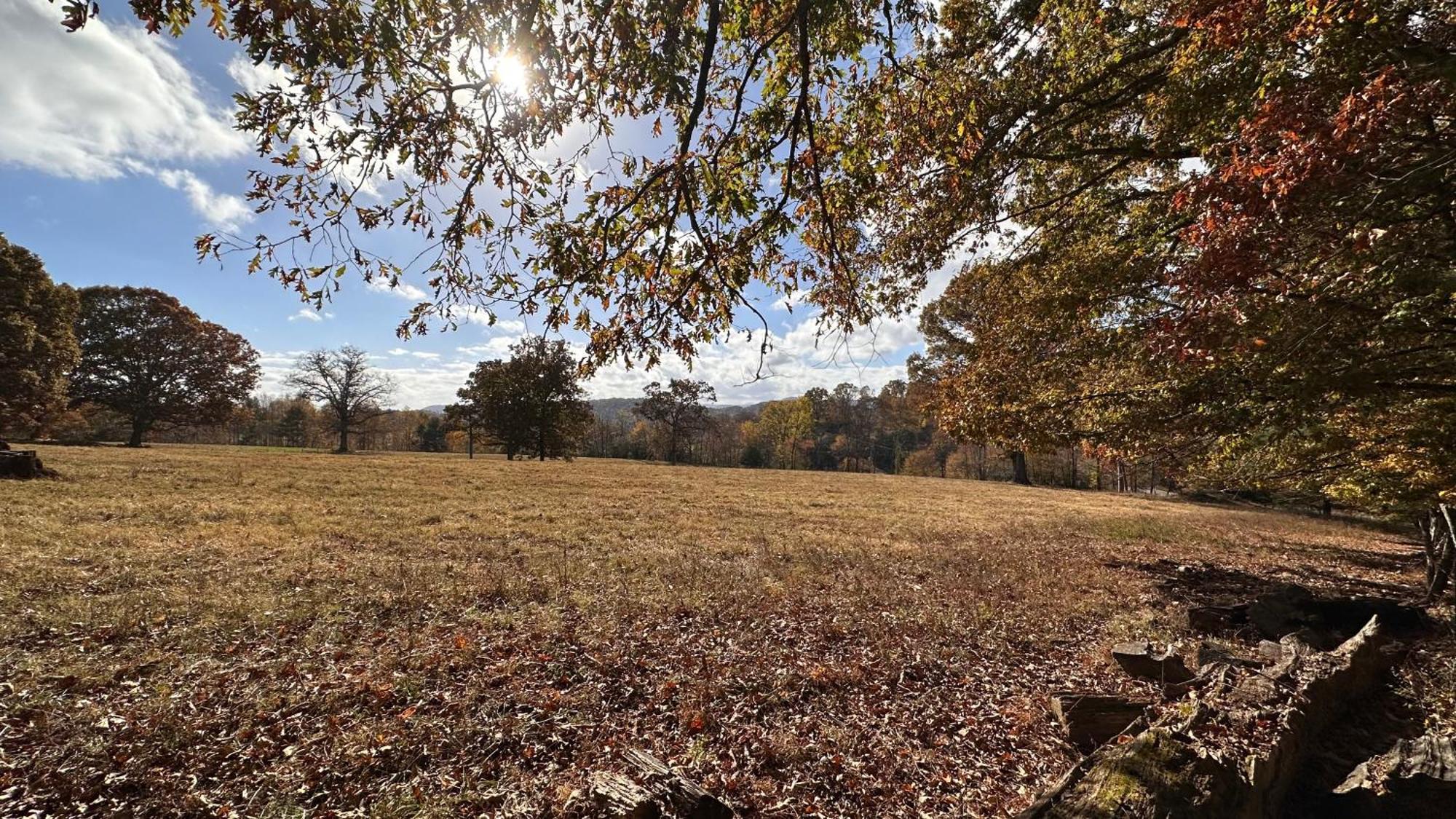 Appalachian Mountain Cabin-Updated-Private-Rafting On Ocoee River-Hiking-Waterfalls-Wifi-Pets Ok ميرفي المظهر الخارجي الصورة