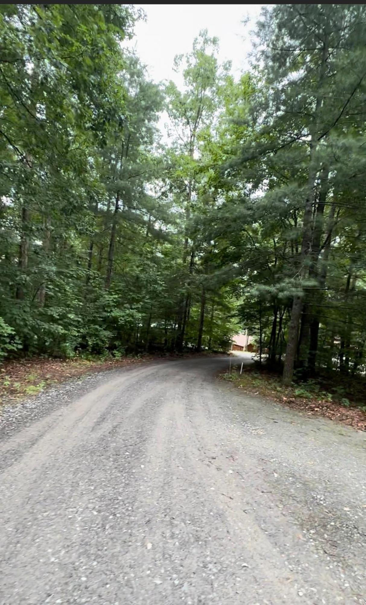 Appalachian Mountain Cabin-Updated-Private-Rafting On Ocoee River-Hiking-Waterfalls-Wifi-Pets Ok ميرفي المظهر الخارجي الصورة