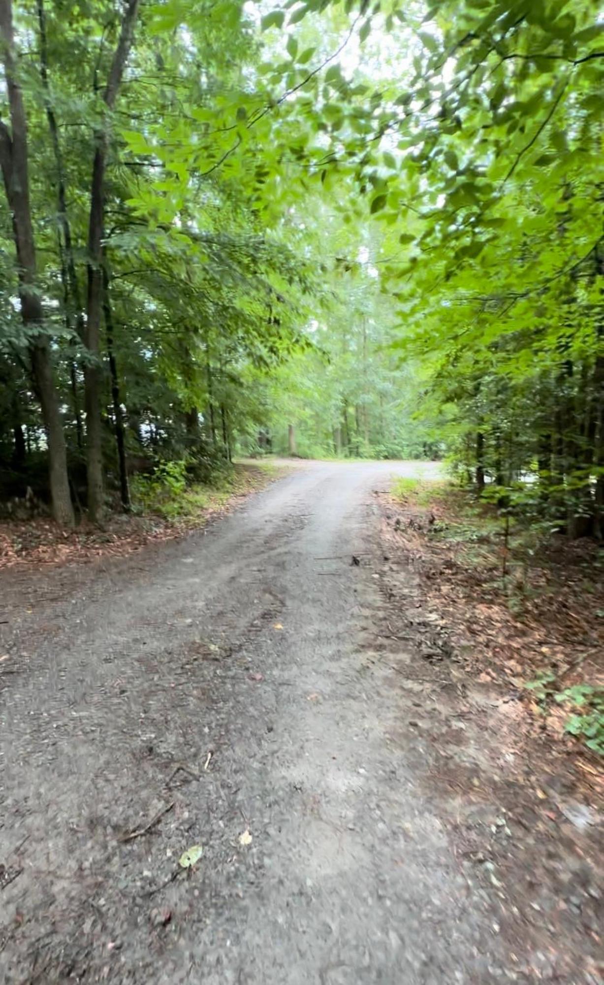 Appalachian Mountain Cabin-Updated-Private-Rafting On Ocoee River-Hiking-Waterfalls-Wifi-Pets Ok ميرفي المظهر الخارجي الصورة